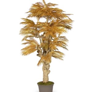Gold-Palme H:200cm, getopft mit Naturstamm
