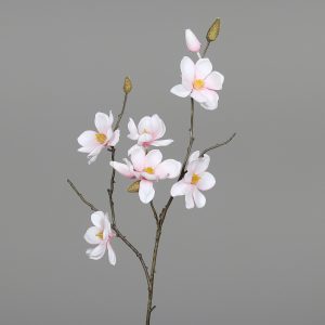 Magnolienstamm L:82, rosa