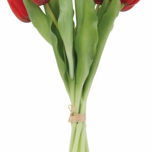 Tulpen-Bund 7-tlg., L:30cm, rot