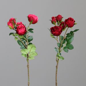 Mini-Rosen 2-tlg. L:39cm, rot-sortiert