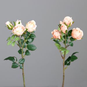 Mini-Rosen 2-tlg. L:39cm, pfirsich-sortiert