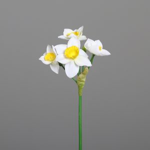 Narzissen-Stamm L:44cm, weiß