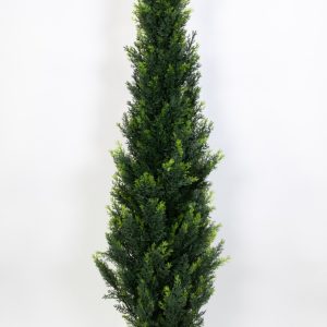 Konifere H:150cm, getopft, grün