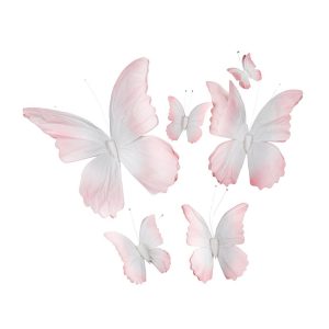 Schmetterlinge 6-tlg., 20x17cm-90x80cm, rosa-weiß
