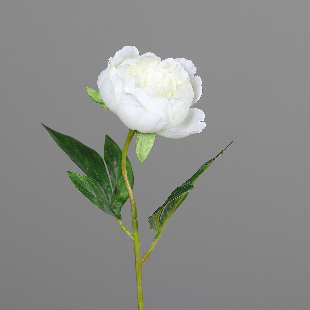 Pfingstrose L:48cm, weiß