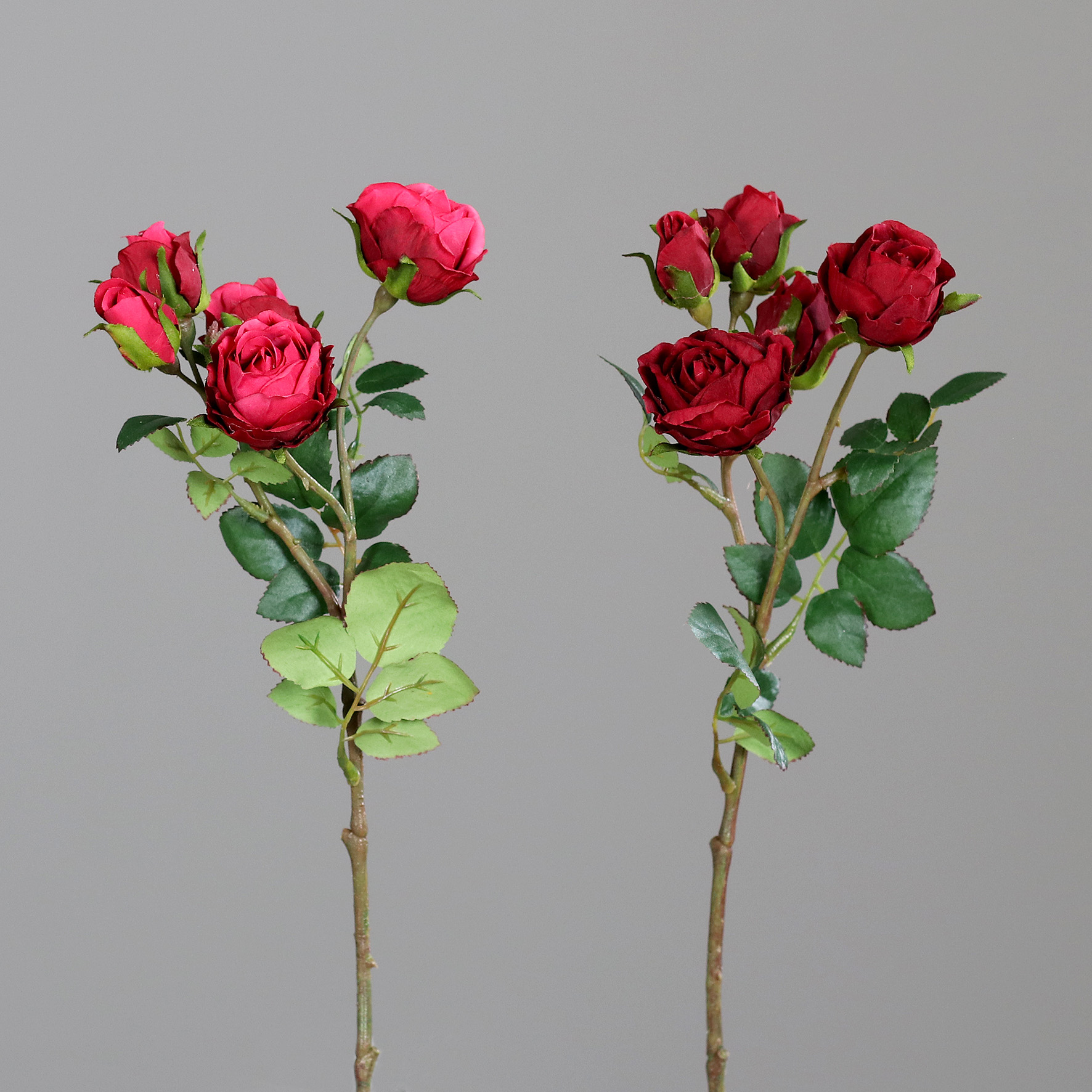 Mini-Rosen 2-tlg. L:39cm, rot-sortiert