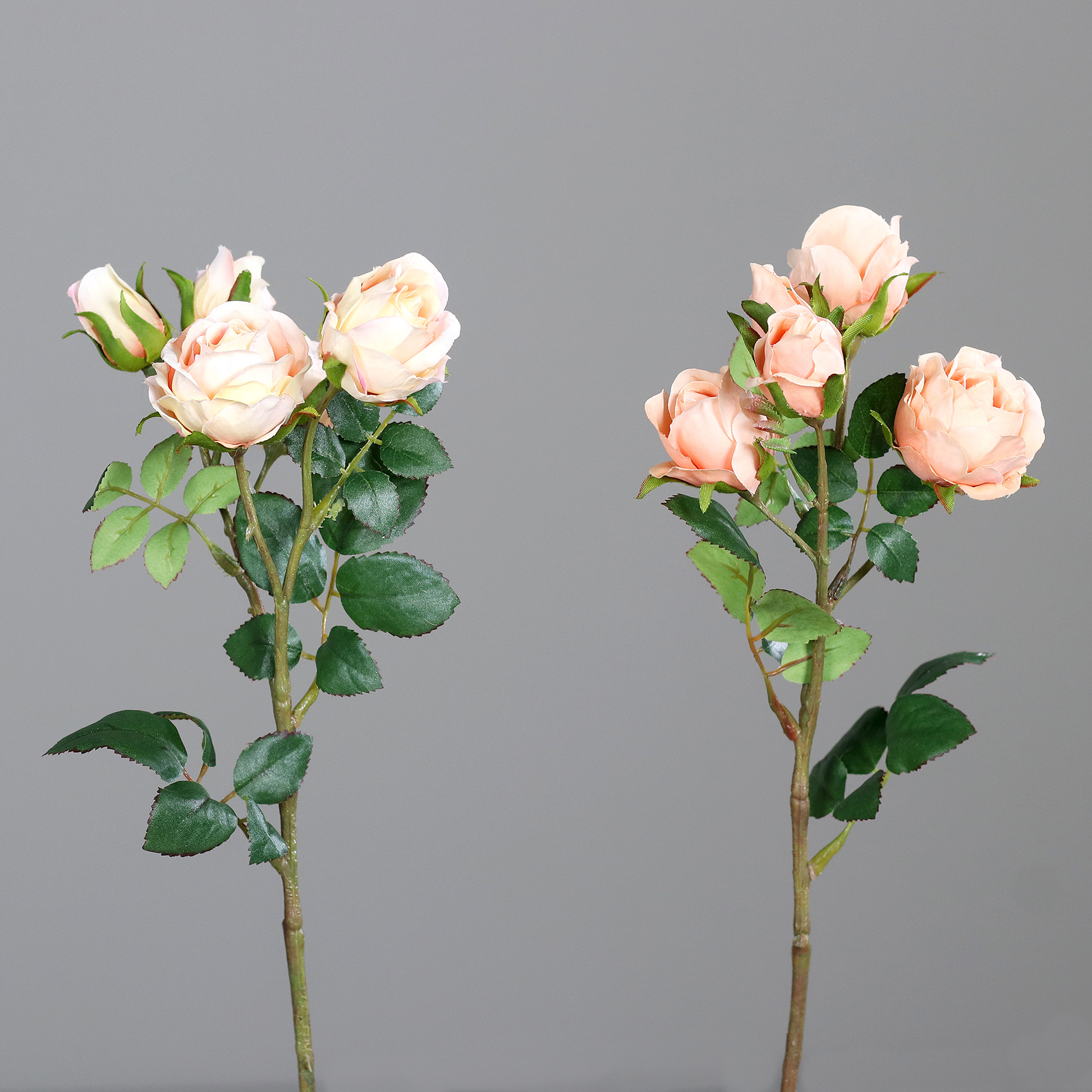 Mini-Rosen 2-tlg. L:39cm, pfirsich-sortiert
