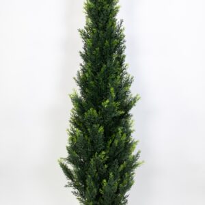 Konifere H:150cm, getopft, grün