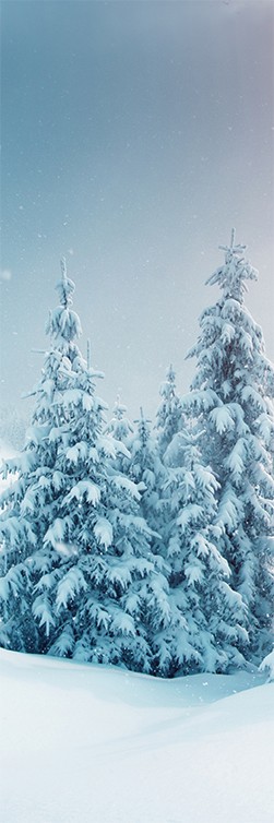 Langbahn Schneetannen 60x180cm
