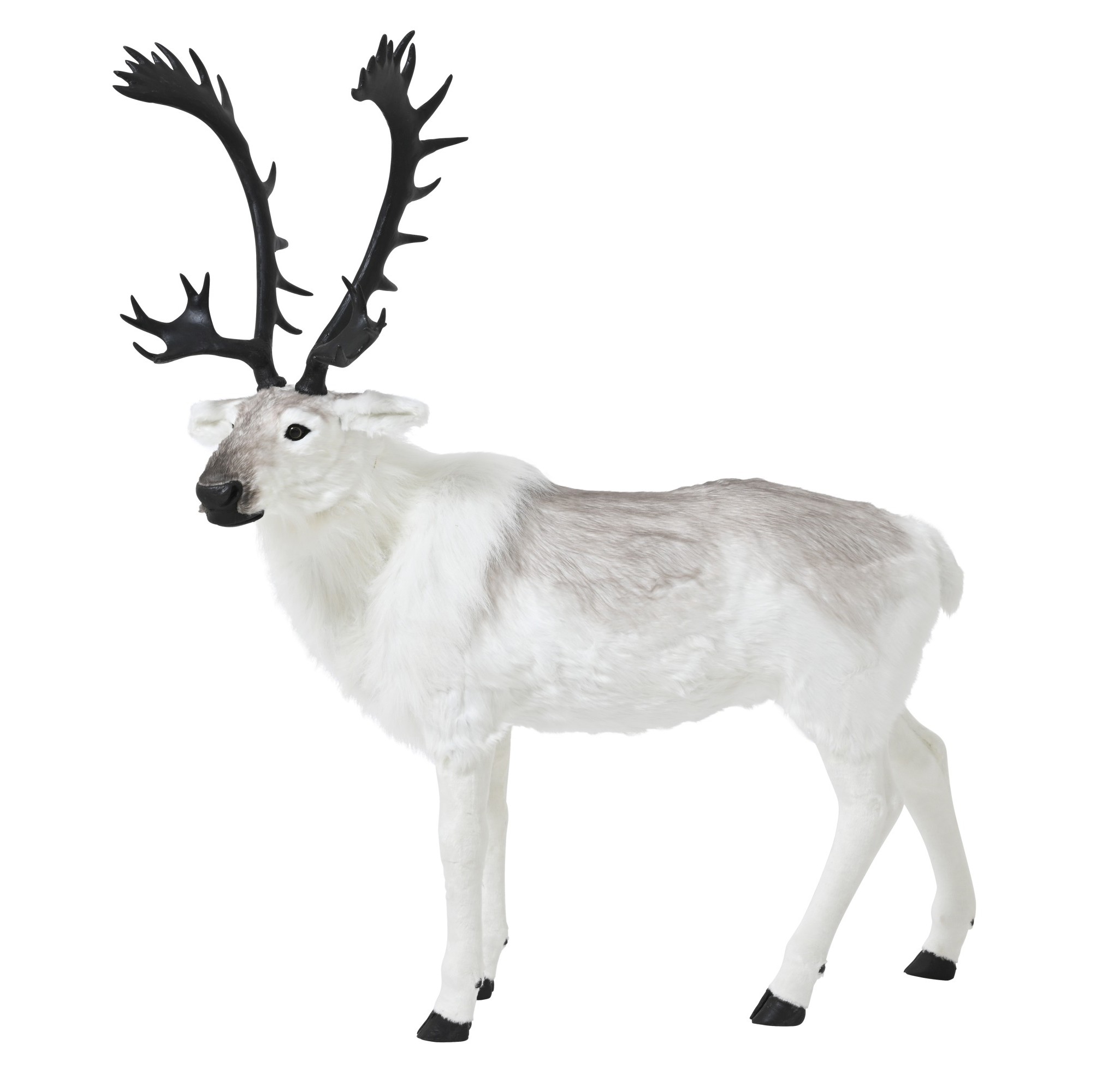 Hirsch L:150xB:56xH:177cm