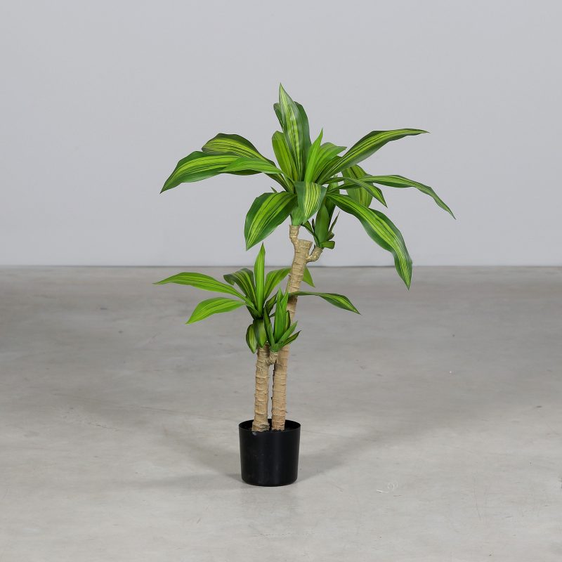 Yuccapalme im schwarzen Kunststofftopf,  H:85 cm
