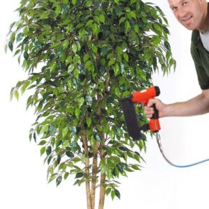 Ficus Mini-Benjamin, medium, H:175cm, grün