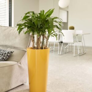 Pflanztopf Tuit Ø40xH:75cm, mango