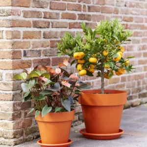 Pflanzkübel Mitu Pac Ø30xH:27cm, feuer