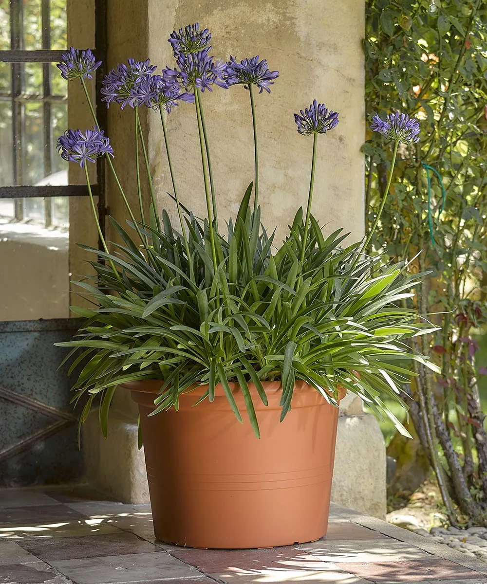Pflanztopf Cilindro Ø90 x H:62cm, terracotta
