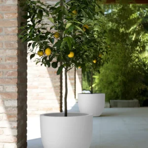 Pflanztopf Etria Ø74xH:61cm, weiß