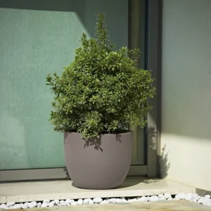 Pflanztopf Etria Ø74xH:61cm, taupe
