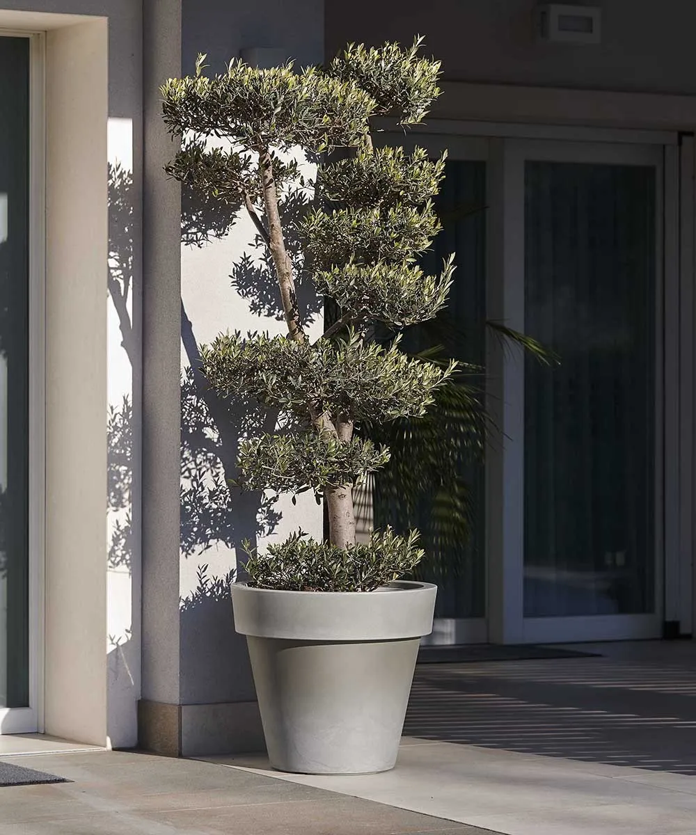 Pflanzkübel IKON Ø80xH:71cm, beton-grau