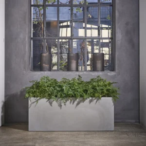 Pflanzwanne Kube Cassetta, 80x30x30cm, beton-grau