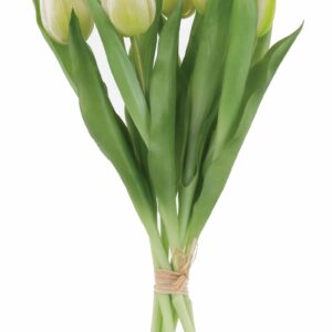Tulpen-Bund 7-tlg., L:30cm, weiß