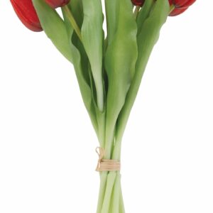 Tulpen-Bund 7-tlg., L:30cm, rot