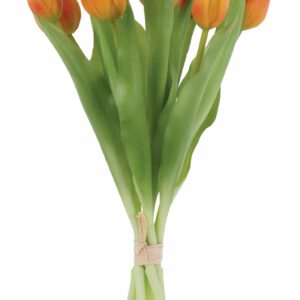 Tulpen-Bund 7-tlg., L:30cm, orange