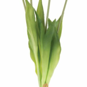 Tulpen-Bund 5-tlg., L:40cm, violett-weiß