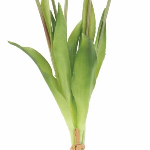 Tulpen-Bund 5-tlg., L:40cm, fuchsia-weiß