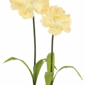 Papier Blume 2-tlg., H:90cm, gelb
