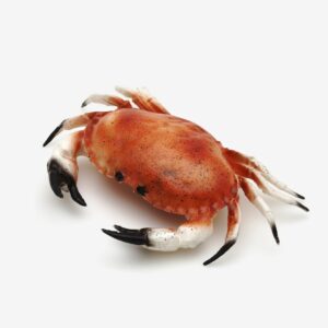 Krabbe 32 cm