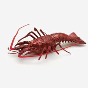 Hummer 40cm