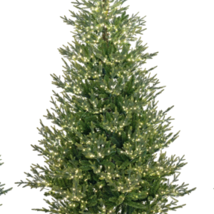 Tanne "Aspen" H:270cm, grün, mit Licht